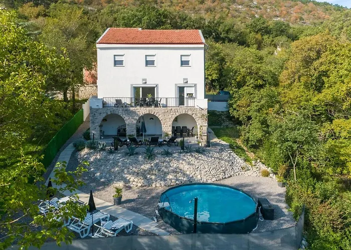 Holiday House Dino